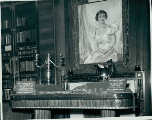 The P&O -Orient Lines Trophies for the Grand Champion Carcase and Export Butter taken in the Library on board the P&O Orient Liner STRATHMORE