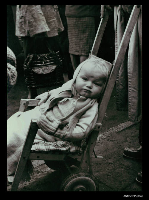 Baby Istvan in pram at Yugoslavian refugee camp