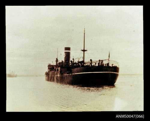 Blue Star Line steamship