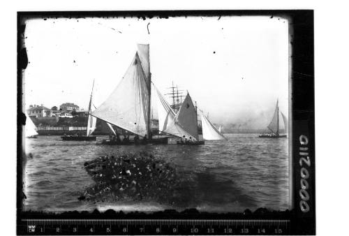 Mixed fleet of open boats sailing on Sydney Harbour