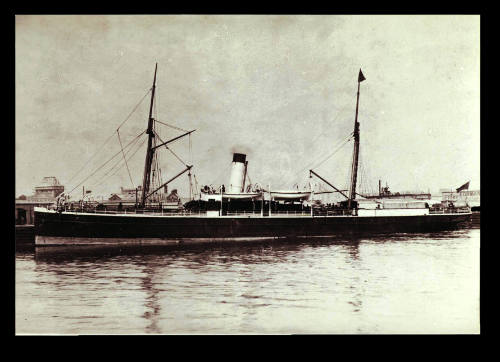 SS NELSON docked at a wharf