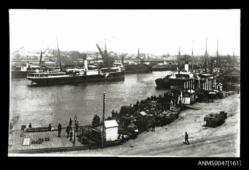 Harbour with docked steamships and a crowded foreshore