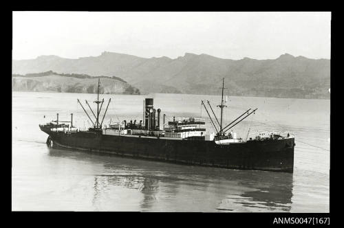 SS BEATUS in Lyttelton Harbour, New Zealand