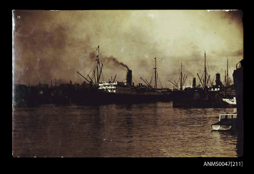 Harbour with docked passenger steamships