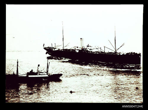 SS RAKAIA at Nelson Harbour, New Zealand