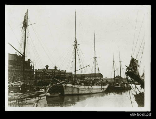 Schooners docked at a wharf, Union Steamship Co. of NZ warehouse behind