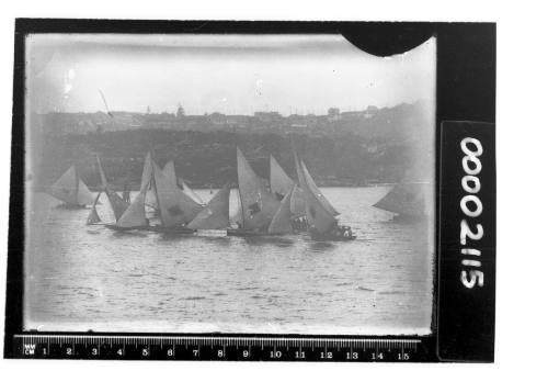 Fleet of 18-footers on Sydney Harbour