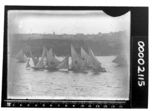 Fleet of 18-footers on Sydney Harbour