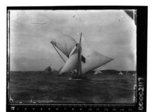 Fleet of 14-footers sailing on Sydney Harbour