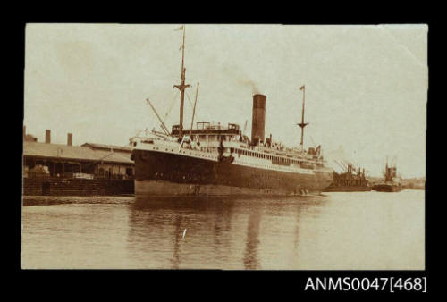 SS WARILDA