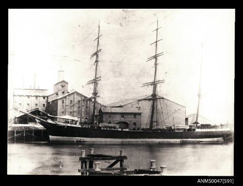 SS CAMBRIAN CHIEFTAIN berthed at a sugar wharf