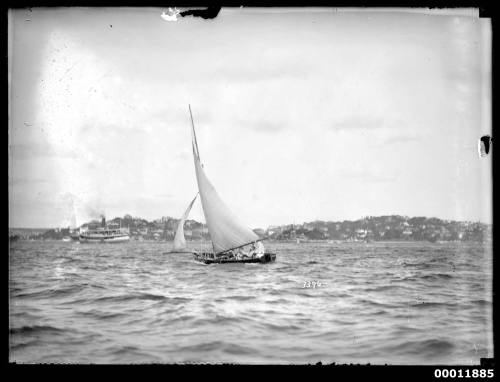 Sloop at sail in Farm Cove, Sydney Harbour