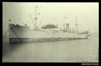 SS NORDVARD, cargo/ passenger ship at anchor in harbour