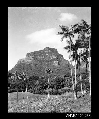 Photographic negative showing a view of the landscape at Lord Howe Island