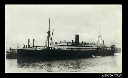 SS DIMBOOLA, Melbourne Steamship Company