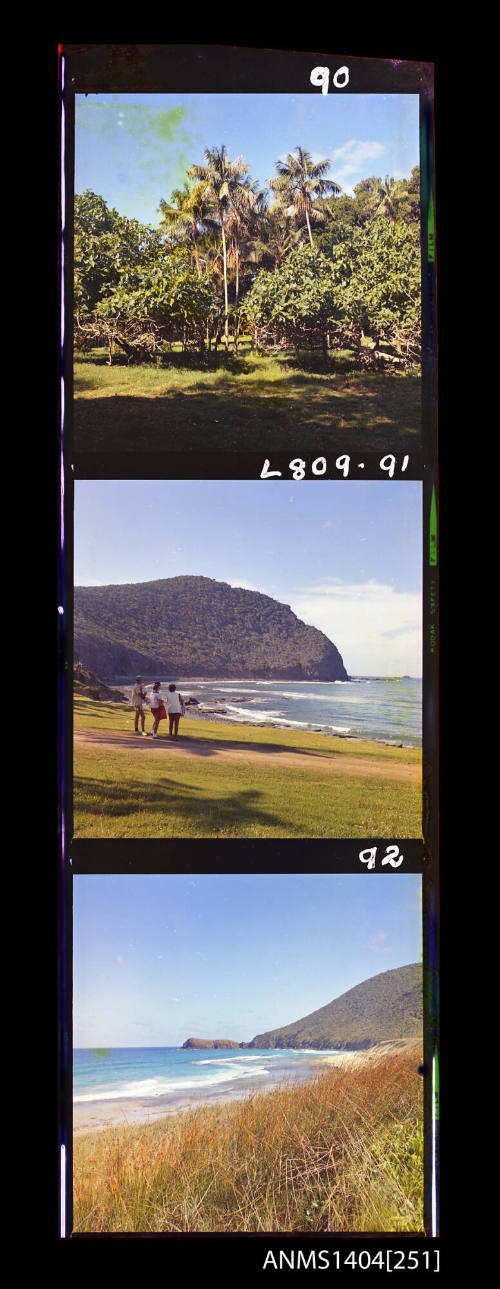 Photographic transparency strip showing the landscape at Lord Howe Island