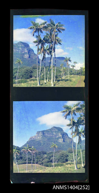 Photographic transparency strip showing the landscape at Lord Howe Island