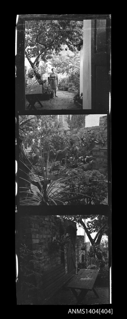 Photographic negative strip showing a tree filled courtyard and woman standing in courtyard