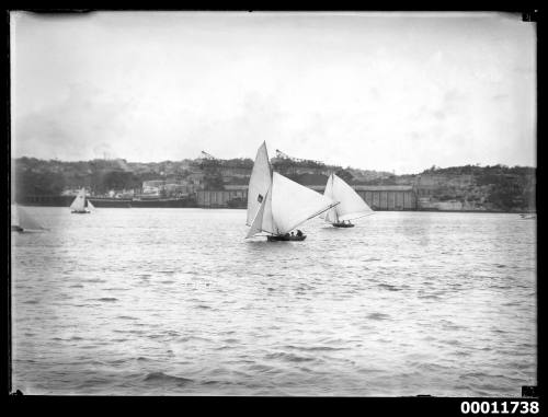 Sloops on Sydney Harbour, inscribed 2721