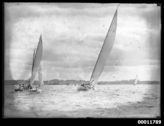 Sloops on Sydney Harbour, inscribed 2871