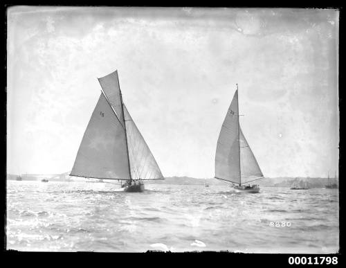 Yachts sailing near the Sydney Harbour Bridge