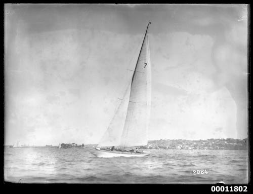 Sailing vessel on Sydney Harbour, inscribed 2884