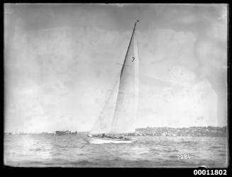 Sailing vessel on Sydney Harbour, inscribed 2884