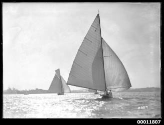 Sloops on Sydney Harbour, inscribed 2889