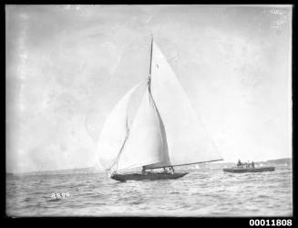 Sailing vessel on Sydney Harbour, INSC 2890