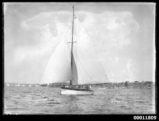 Sailing vessel on Sydney Harbour, INSC 2892