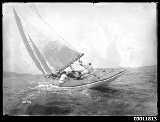 Sailing vessel on Sydney Harbour, INSC 2896