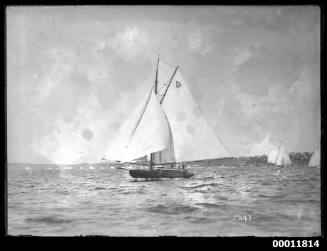 Sailing vessel on Sydney Harbour, INSC 2897