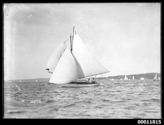 Sailing vessel on Sydney Harbour, INSC 2898