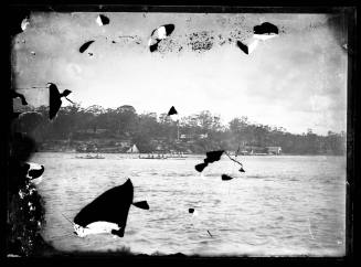 Glass plate negative image of a riverscape showing rowing boats and a yacht, Australia