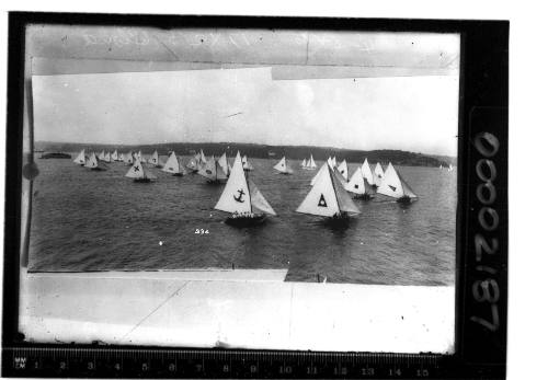 Fleet of 18-footers sailing on Sydney Harbour