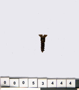 Small Screw