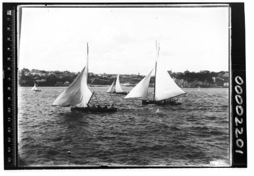 Three open boats on Sydney Harbour, New South Wales