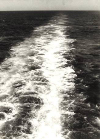 Photograph depicting the white foam left by a ship's engine on the water