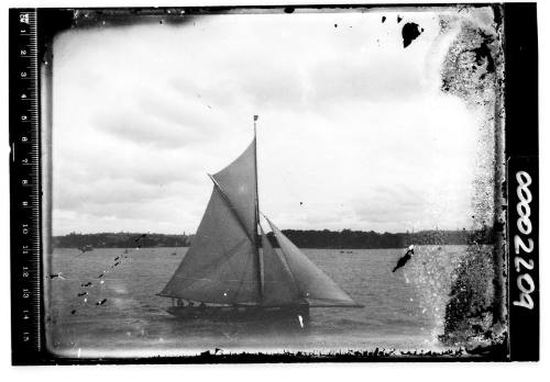 A gaff cutter sailing on Sydney Harbour, New South Wales