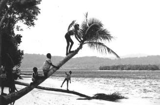 Photograph depicting a Pacific landscape with children