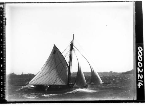 Gaff cutter displaying the number "3" on the mainsail, sailing in choppy water on Sydney Harbour