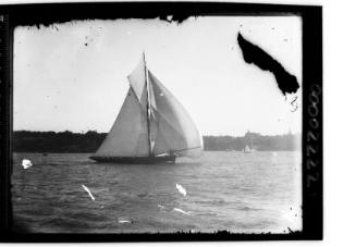 Gaff cutter on Sydney Harbour, possibly ERA, displaying the number '23'