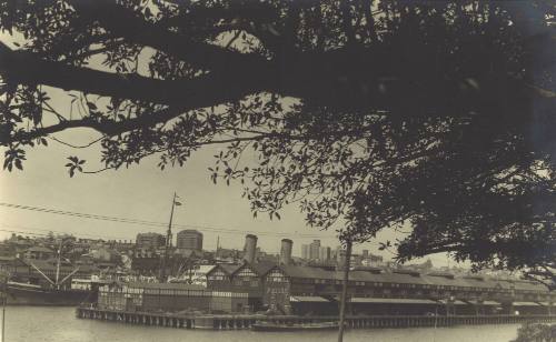 Photograph depicting P&O's headquarters in Woolloomooloo's Finger Wharf