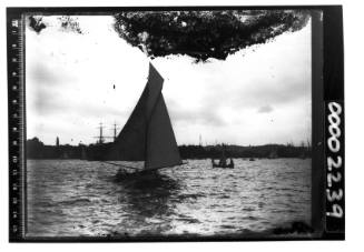 Gaff sloop sailing off Farm Cove, Sydney Harbour, New South Wales