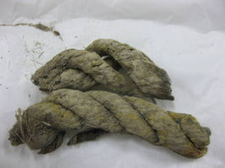 Two rope pieces excavated from the wreck of the BATAVIA