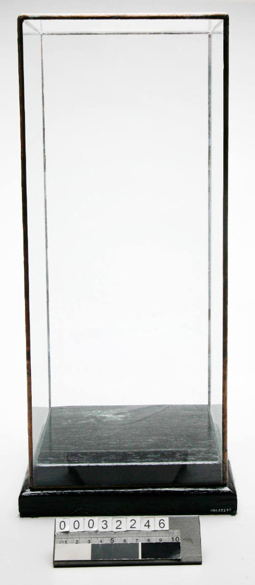 Glass case for Ballarat Rowing Club 1874 Challenge Cup trophy presented to Mr John D Irvine