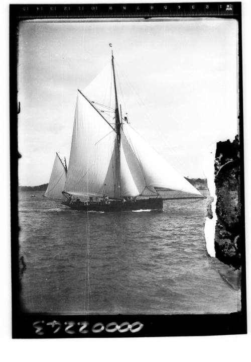 Gaff yawl on Sydney Harbour, with a crew member standing on yard rigging halfway up the mainmast