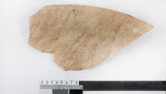 Grindstone fragment from the wreck of the VERGULDE DRAECK