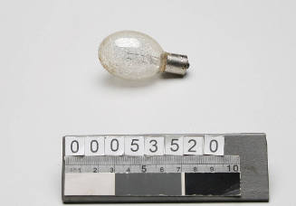 Camera flashbulb used by Gervaise Purcell