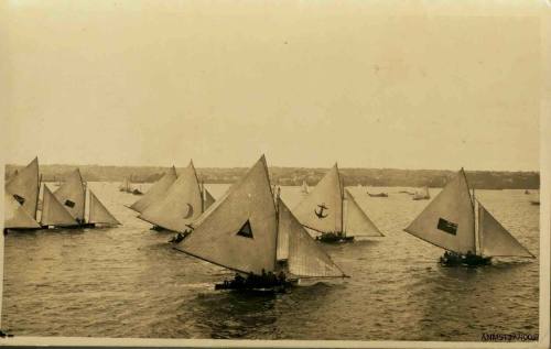 Postcard featuring a photograph of numerous skiffs sailing on the water